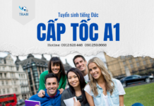 TRABI tuyển sinh lớp tiếng Đức trình độ A1: Cùng hiện thức hoá “Giấc mơ Đức” của bạn!